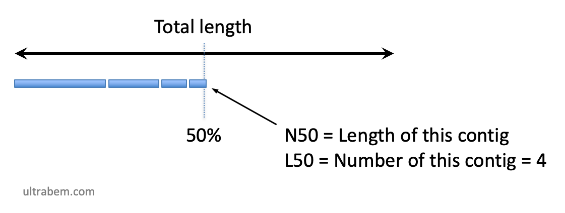 N50の概念図